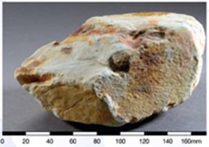 Sandstone of the Tai O Formation